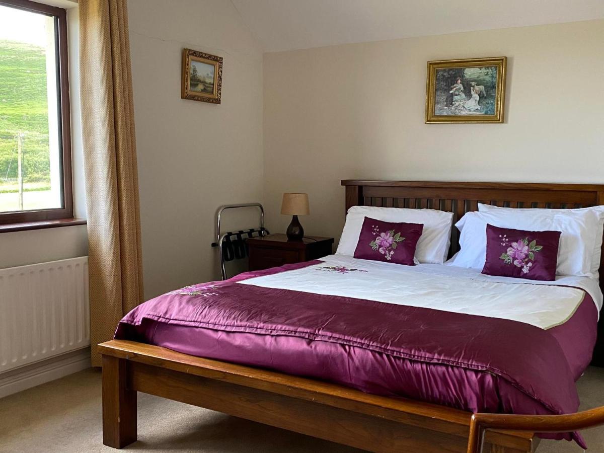 Lakelands Farm House Hotel Waterville Buitenkant foto