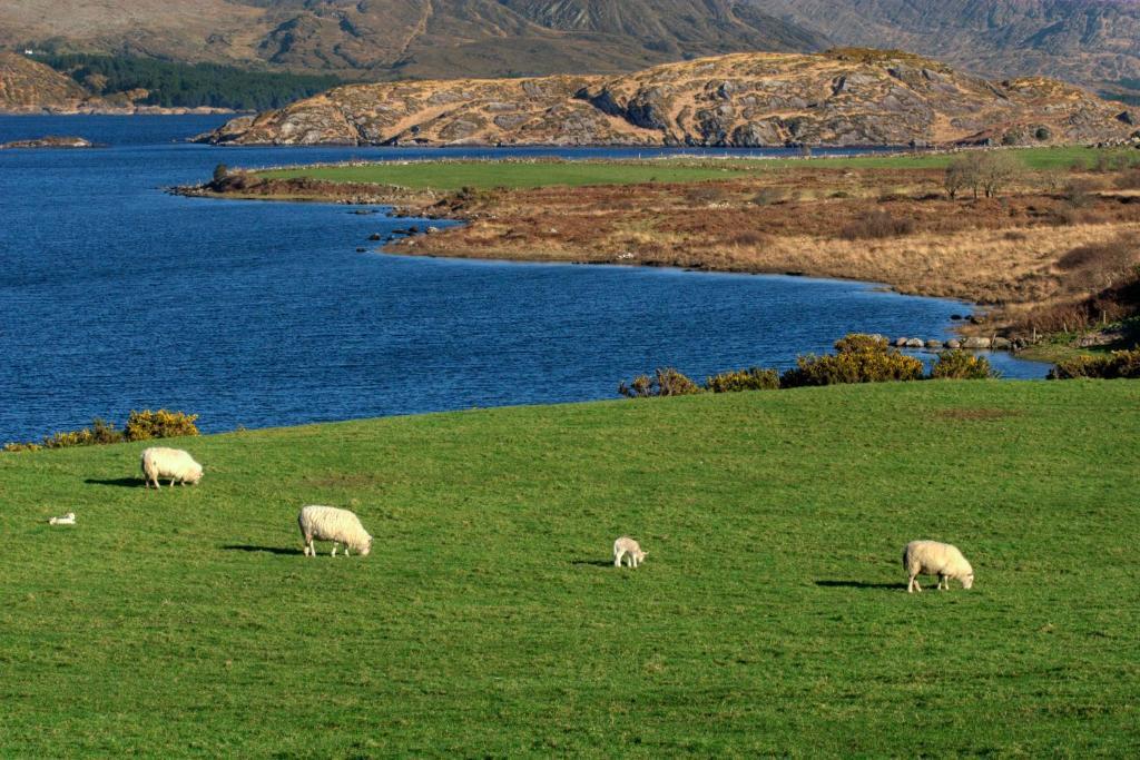 Lakelands Farm House Hotel Waterville Buitenkant foto